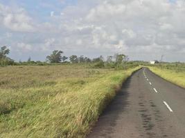 a vista da estrada com uma bela grama que se estende ao longo da beira da estrada e nuvens brancas cobrindo foto