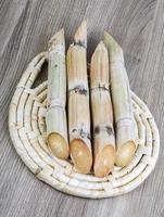 brotos de bambu na madeira foto