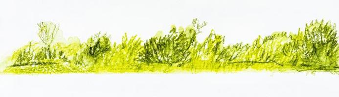 esboço desenhado à mão de prado verde no dia de verão foto