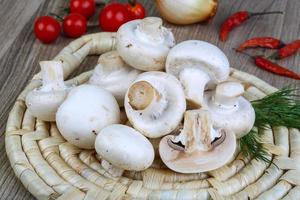 champignon na madeira foto