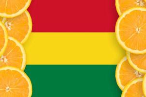 bandeira da bolívia em moldura vertical de fatias de frutas cítricas foto
