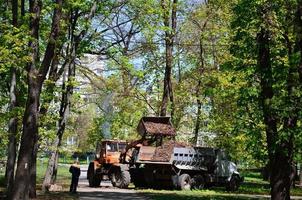 a equipe de melhoria da cidade remove as folhas caídas no parque com uma escavadeira e um caminhão. trabalho sazonal regular na melhoria dos locais públicos para recreação foto