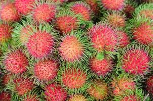 o rambutan de cor vermelha fresca que é uma fruta tropical na tailândia que tem carne de cor branca pérola e sabor adocicado. foto