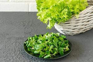 valerianella locusta,salada de milho,alface de cordeiro. folhas frescas de salada de milho verde em um prato foto