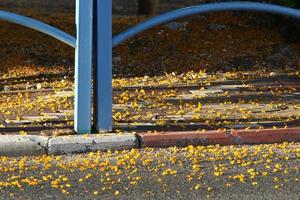 barreiras rodoviárias ao longo da calçada para a passagem segura de pedestres. foto