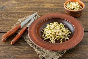 alimento germinado. feijão germinado em um prato com fundo de madeira rústica. macrobióticos foto