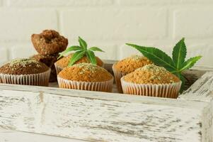 muffins veganos e sem glúten saudáveis e saborosos cobertos com sementes de cânhamo em um prato branco na mesa de madeira. bolinhos de maconha com folhas de cannabis foto