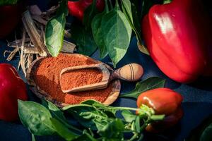 páprica húngara vermelha defumada doce ou picante foto