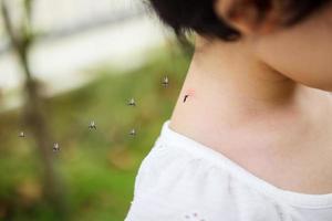 menina asiática bonitinha tem erupção cutânea e alergia por picada de mosquito e chupando sangue no pescoço enquanto joga no campo de grama verde ao ar livre foto