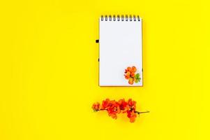 postura plana criativa do quadro de bloco de notas espiral em branco simulado e pétalas de flores de árvore de marmelo em fundo amarelo com espaço de cópia em estilo minimalista, modelo para letras, texto ou seu design foto