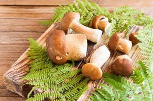 cogumelos da floresta branca com galhos de samambaia em uma placa de madeira em estilo rústico. foto