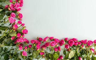 fundo floral festivo, moldura de flores, borda rosa. mini rosas de jardim. uma cópia do espaço para o seu texto. bandeira, cartão postal. foto