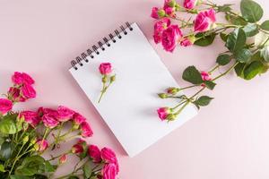 composição festiva de um caderno aberto com lençóis limpos e lindas rosas de jardim. vista do topo. fundo rosa. espaço para texto. foto