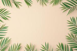 fundo bege pastel com folhas de palmeira. postura plana, copie o espaço. foto