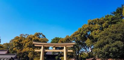 portão torii na entrada do santuário meiji jingu iat harajuku floresta urbana, tóquio. foto