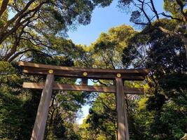 portão torii na entrada do santuário meiji jingu iat harajuku floresta urbana, tóquio. foto