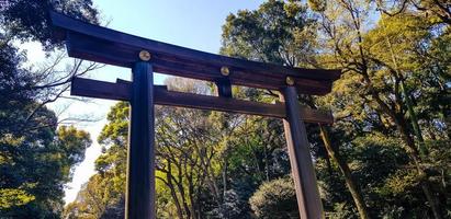 portão torii na entrada do santuário meiji jingu iat harajuku floresta urbana, tóquio. foto