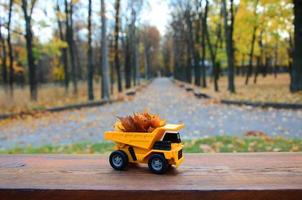 um pequeno caminhão amarelo de brinquedo é carregado com folhas amarelas caídas. o carro fica em uma superfície de madeira contra um fundo de um parque de outono embaçado. limpeza e remoção de folhas caídas. trabalhos sazonais foto