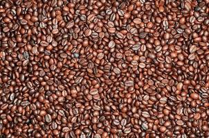 textura de fundo de um grande número de grãos de café torrados marrons perfumados e frescos foto