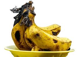 frutas de bananas amarelas maduras em uma cesta, cacho de bananas maduras com manchas escuras foto