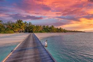 pôr do sol no resort da ilha das maldivas. cais de madeira com belas nuvens do céu sobre o mar tropical de palmeiras para férias de férias de luxo de verão e conceito de viagens. pôr do sol do paraíso, paisagem exótica de férias foto