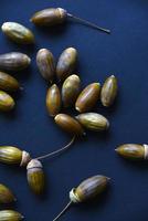 close-up de bolotas de nozes de carvalho marrom em um fundo preto. sementes de carvalho. foto