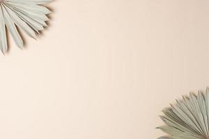 fundo tropical com folha de palmeira em bege pastel. postura plana, copie o espaço foto
