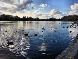 uma visão de alguns pássaros em um lago em londres foto