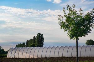 grande estufa para o cultivo de legumes perto de bergamo no norte da itália foto