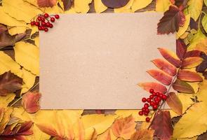 Olá outubro. vista superior da composição de outono no outono folhas coloridas brilhantes com folha de papel e lugar para texto. foto