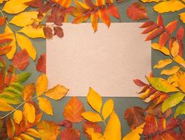 folhas de outono com pinhas e bagas e uma folha de papel manteiga em um fundo cinza escuro de cima. com espaço para texto. arte de design sazonal mínima de ação de graças e halloween. postura plana. foto