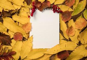 vista superior de um notebook com folhas coloridas brilhantes de outono. folhas coloridas e páginas de diário em branco e um monte de frutas vermelhas. layout de outono, espaço de cópia, conceito de educação. foto