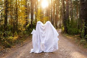 uma criança em lençóis com recorte para os olhos como uma fantasia de fantasma em uma floresta de outono assusta e aterroriza. um tipo de fantasma engraçado. festa de Halloween foto