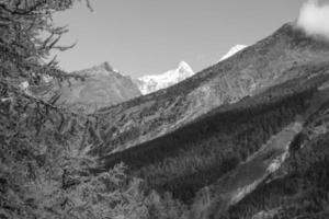 caminhada nos alpes suíços foto