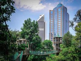 vista panorâmica da caminhada do dossel acima do parque da floresta tropical com prédios de escritórios modernos ao fundo foto