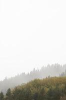 outono e neblina nas montanhas. foto vertical. papel de parede fotográfico com vista para a montanha, espaço para texto