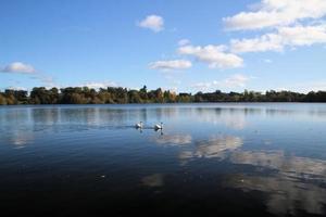 uma visão de um pássaro em wwt washington foto