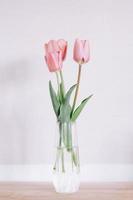 tulipas em vaso contra fundo claro foto