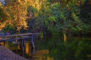 córrego do rio nas montanhas. córrego do rio de montanha na floresta foto