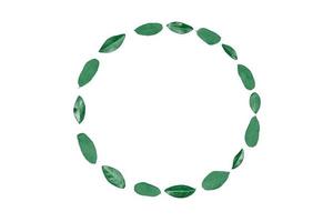 folhas verdes de menta como quadro de círculo isolado no fundo branco, espaço de cópia vazio para texto de design foto