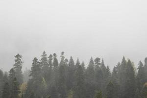 outono e neblina nas montanhas. foto vertical. papel de parede fotográfico com vista para a montanha, espaço para texto. foto de alta qualidade
