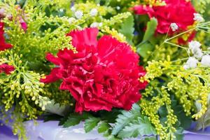 buquê de flores de cravo vermelho com fundo de folhas verdes foto