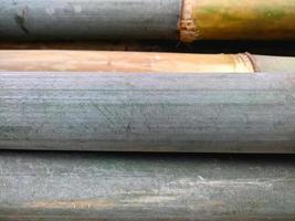 close-up de uma pilha de bambu verde que se estende horizontalmente foto
