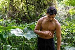 homem latino-americano fazendo postura de ioga, postura de ioga, abelha para trás prsthatah brahmara, floresta foto
