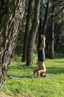 jovem, fazendo yoga ou reiki, na floresta vegetação muito verde, no méxico, guadalajara, bosque colomos, hispânico, foto