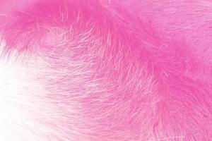 fundo de pele de animal macio e macio de veludo rosa e roxo. a textura dos pêlos dos animais. foto