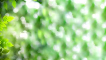 vista linda da natureza da folha verde sobre fundo desfocado de vegetação no jardim. folhas verdes naturais plantas usadas como capa de fundo da primavera vegetação ambiente ecologia papel de parede verde limão foto