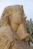 estátua de alabastro esfinge no museu ao ar livre de memphis, egito foto