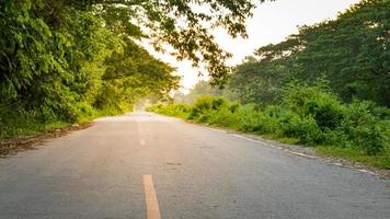 a estrada pavimentada tem uma linha guia amarela. cercado por árvores verdes. tempo da noite. conceito de viagem. proteja o meio ambiente. foto