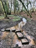 uma vista da zona rural de shropshire em attingham perto de shrewsbury. foto